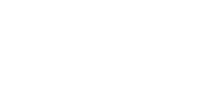 Bloomreach Logo Bloomreach Logo